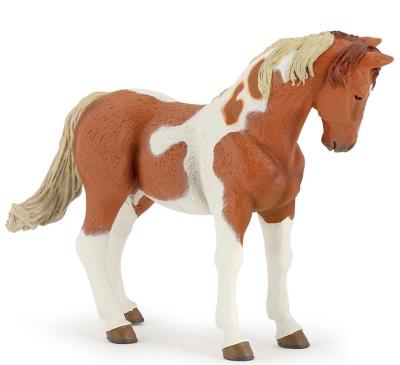 Okładka książki Papo Klacz łaciata (51094)