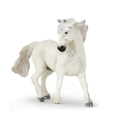 Okładka książki Papo Koń Camargue (51543)