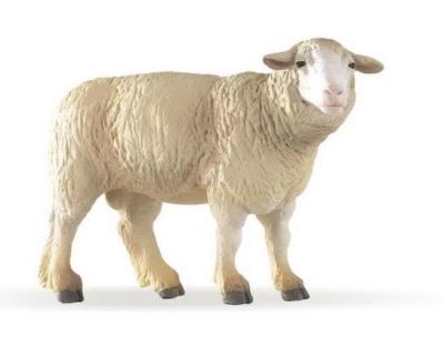 Papo Owca (51041). Autor: 51041. SmakLiter.pl Okładka książki Papo Owca (51041)