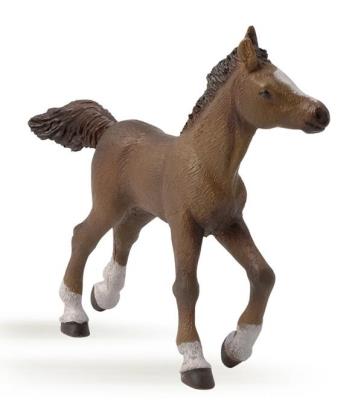 Papo Źrebie rasy angloarabskiej (51076). Autor: 51076. SmakLiter.pl Okładka książki Papo Źrebie rasy angloarabskiej (51076)