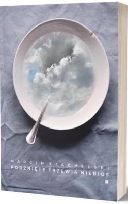 Porżnięte trzewia niebios. Autor: Marcin Stachelski. SmakLiter.pl Okładka książki Porżnięte trzewia niebios