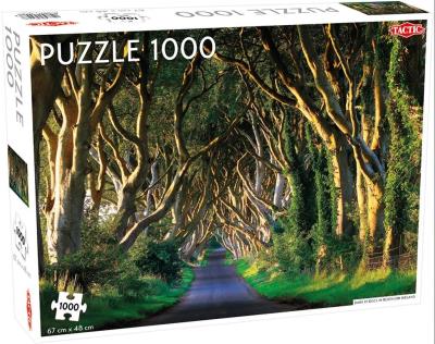Opakowanie Puzzle Dark Hedges in Northern Ireland 1000