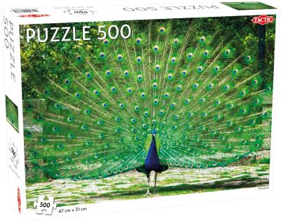 Opakowanie Puzzle Piękny Paw Peacock 500