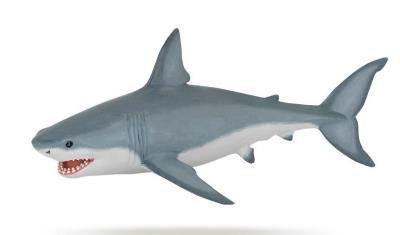 Opakowanie Rekin biały