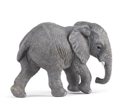 Opakowanie Słoń afrykański młody