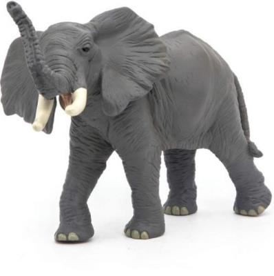 Opakowanie Słoń trąbiący