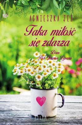 Okładka książki Taka miłość się zdarza wyd. kieszonkowe