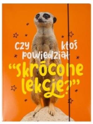 Opakowanie Teczka A4 z gumką AleJakTo-04