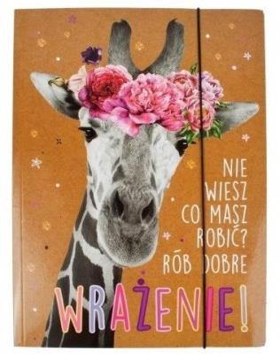 Opakowanie Teczka A4 z gumką Geniusz-01