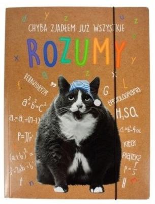 Opakowanie Teczka A4 z gumką Geniusz-04