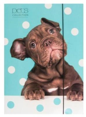 Opakowanie Teczka A4 z gumką Pets-16