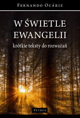 Okładka książki W świetle ewangelii