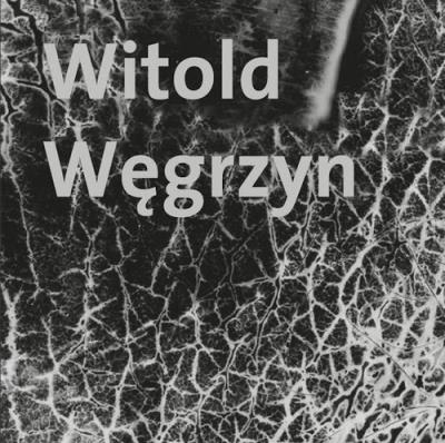Witold Węgrzyn Nieuchwytna materialność. Autor: Witold Węgrzyn. SmakLiter.pl Okładka książki Witold Węgrzyn Nieuchwytna materialność