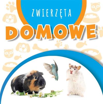 Okładka książki Wstęgi kartonowe. Zwierzęta domowe