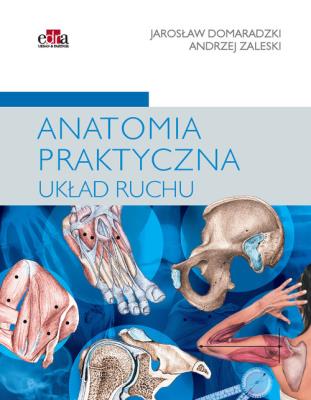 Anatomia praktyczna Układ ruchu. Autor: Zaleski A., Domaradzki J.. SmakLiter.pl Okładka książki Anatomia praktyczna Układ ruchu