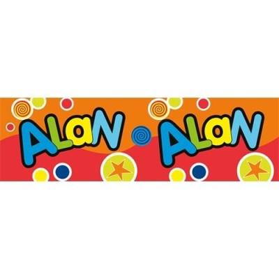 Opakowanie Bidon 300ml Alan