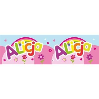 Opakowanie Bidon 300ml Alicja