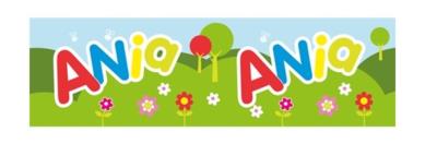 Opakowanie Bidon 300ml Ania