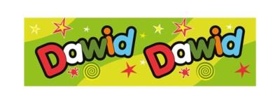 Opakowanie Bidon 300ml Dawid