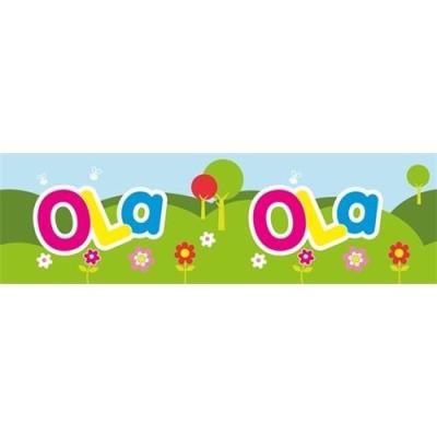 Opakowanie Bidon 300ml Ola