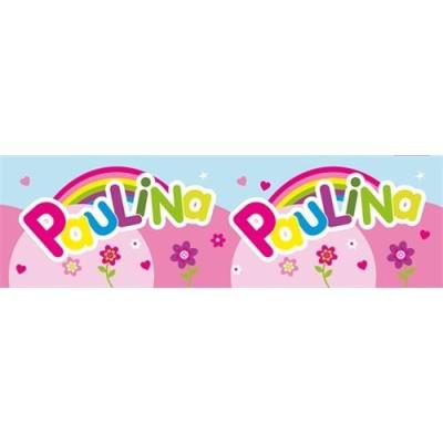 Opakowanie Bidon 300ml Paulina