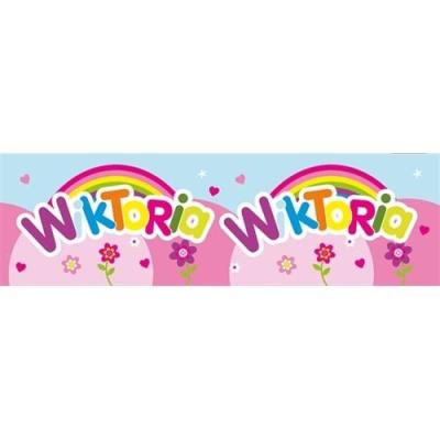 Opakowanie Bidon 300ml Wiktoria