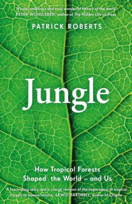Jungle. Autor: Roberts 	Patrick. SmakLiter.pl Okładka książki Jungle