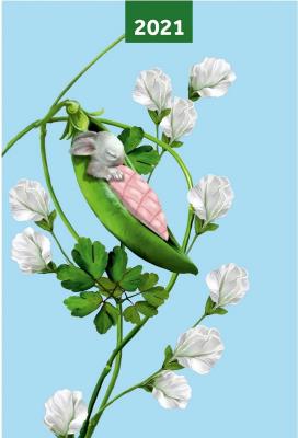 Opakowanie Kalendarz 2021 A5 tygodniowy Pea Pods NARCISSUS