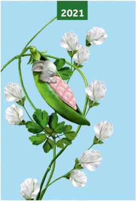 Opakowanie Kalendarz 2021 A6 tygodniowy Pea Pods NARCISSUS