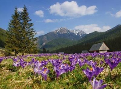 Opakowanie Kalendarz 2021 Tatry trójdzielny RADWAN