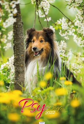 Opakowanie Kalendarz 2022 A3-14 Psy AVANTI