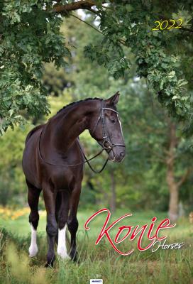 Opakowanie Kalendarz 2022 A3-2 Konie AVANTI