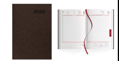 Opakowanie Kalendarz 2022 Dzienny A5 2022 Brąz SK2