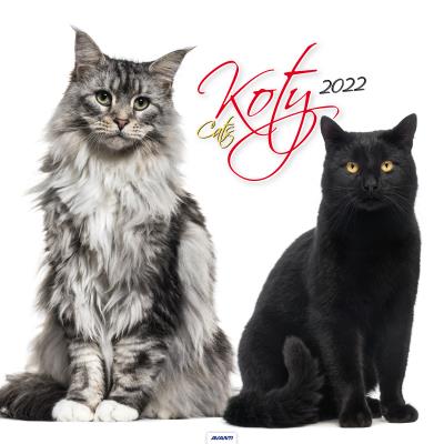 Opakowanie Kalendarz 2022 KD-21 Koty AVANTI