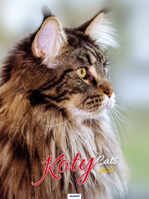 Opakowanie Kalendarz 2022 KSM-4 Koty AVANTI