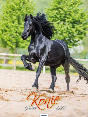 Opakowanie Kalendarz 2022 KSM-5 Konie AVANTI