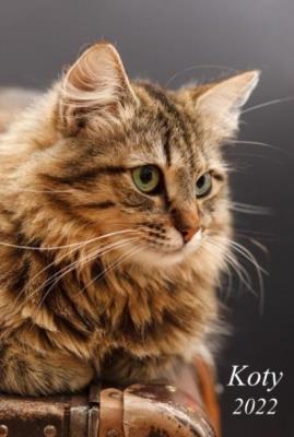 Opakowanie Kalendarz 2022 Ścienny dwustronny Koty RADWAN