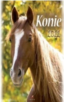 Opakowanie Kalendarz 2022 Ścienny Konie ARTSEZON