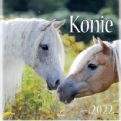 Opakowanie Kalendarz 2022 Ścienny Konie ARTSEZON