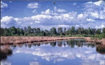 Kalendarz 2022 Trójdzielny Jezioro ANIEW. Wydawca: ANIEW. SmakLiter.pl Opakowanie Kalendarz 2022 Trójdzielny Jezioro ANIEW