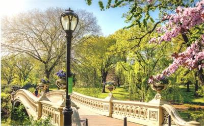 Kalendarz 2022 Trójdzielny Łazienki królewskie. Wydawca: ANIEW. SmakLiter.pl Opakowanie Kalendarz 2022 Trójdzielny Łazienki królewskie