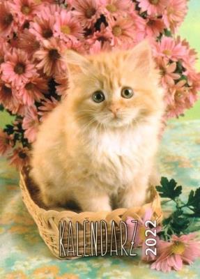 Opakowanie Kalendarz 2022 Zdzierak MIX ARTSEZON