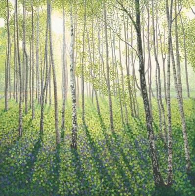 Opakowanie Karnet z kopertą Brzozowy las