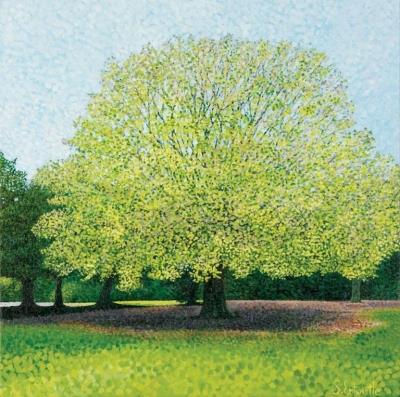 Opakowanie Karnet z kopertą Buk paprociowy