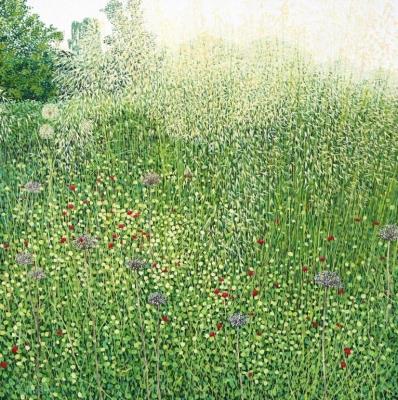 Opakowanie Karnet z kopertą Trawy Harlow Carr