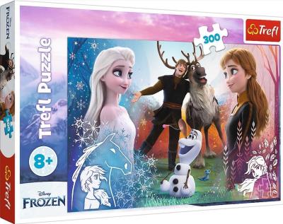 Opakowanie Puzzle 300 Magiczny czas Frozen 2 23006