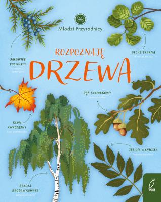 Rozpoznaję drzewa. Młodzi przyrodnicy. Autor: Patrycja Zarawska. SmakLiter.pl Okładka książki Rozpoznaję drzewa. Młodzi przyrodnicy