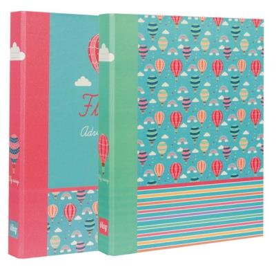 Opakowanie Segregator A4/2R D25 B'Log Fly Away