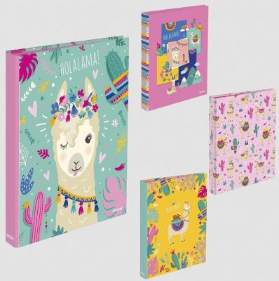 Opakowanie Segregator A4/2R Holalama