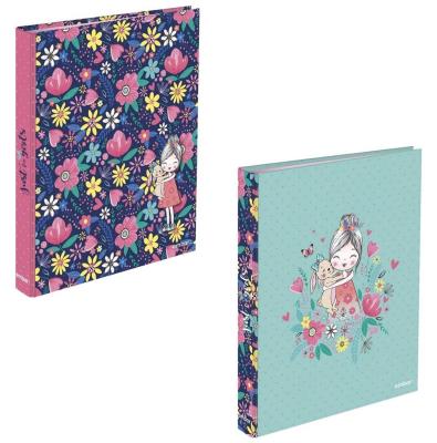 Opakowanie Segregator A4/2R z dźwignią Just 4 Girls